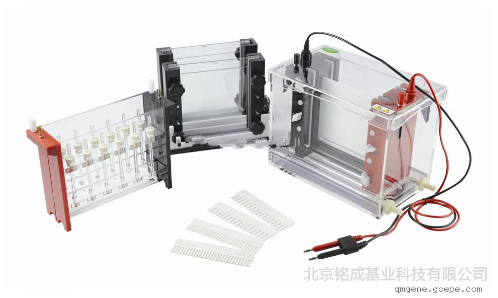 JY-SX3型 双向电泳槽 君意东方